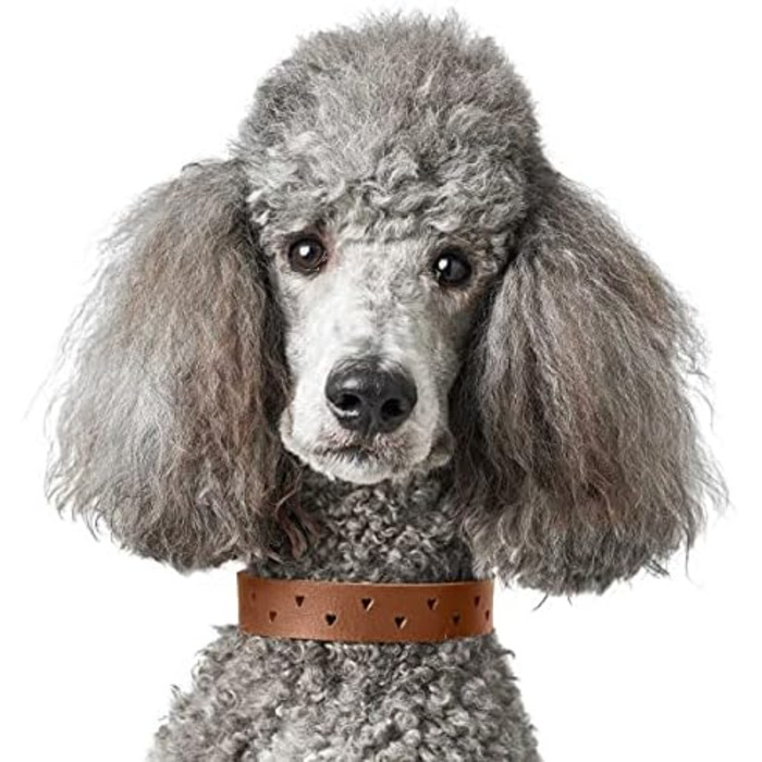 Нашийник для собак HUNTER Aalborg Soul, колір коньяк з сердечком, міцний, розмір 35