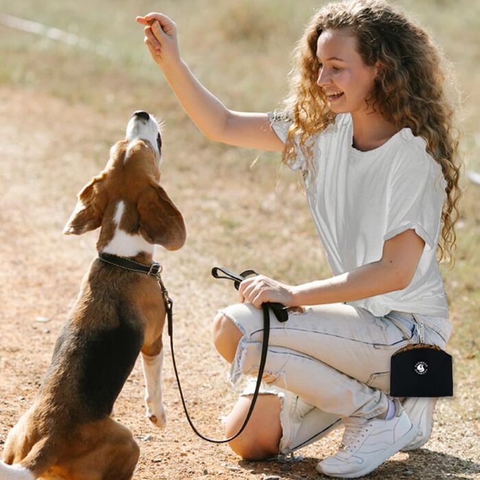 Сумка для ласощів для собак COOWONE, з магнітною застібкою, 900D Oxford, для дресирування та прогулянок, чорна