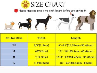 Ошатний нашийник та поводок для собак з шкіри - міцний нашийник для осені, регульований для маленьких собак, набір (1 шт.), помаранчевий