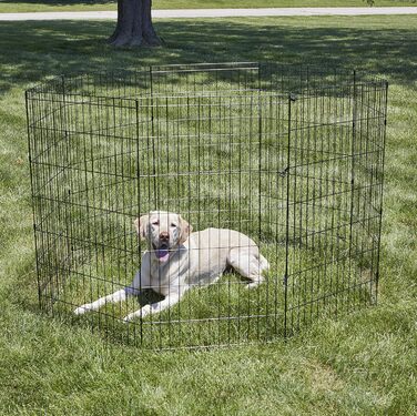 New World B550-30 Dog Playpen & Exercise Pen - No Door, Black E-Coating, 61x76cm, 157x157x106cm