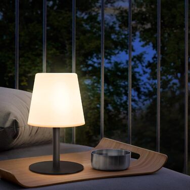 Акумуляторний LED настільний світильник Malux з димером, теплий/холодний білий (3000K/7500K), водонепроникний IP44 для дому та саду