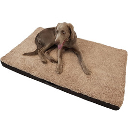 Ортопедичне ліжко для собак DILUMA Benji - м'яке лежання для тварин, знімний чохол, бежеве, 100x65x10 см (L/XL 120x72x10 см)