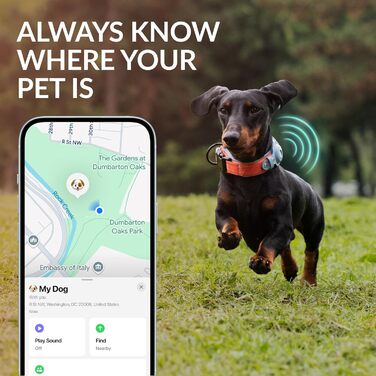 Нашийник для Apple AirTag з відбиваючим матеріалом, CollarDirect, для собак великих, середніх та малих порід, зелений, розмір L (42-51 см)