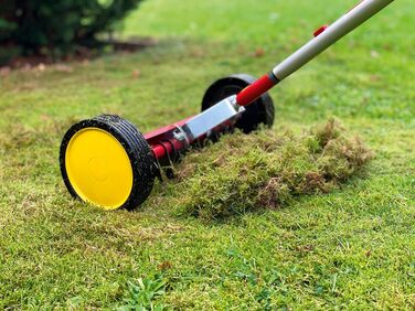 WOLF Garten WOLF Garten WOLF-Garten - Scarifier Roller multi-star® UR-M 3 