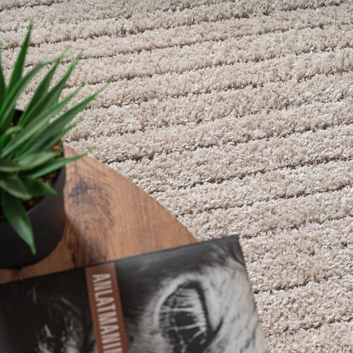 Килим Bahar Shaggy: елегантний дизайнерський килим для вітальні, м'який та легкий у догляді, високий ворс (120 x 170 см, бежевий)