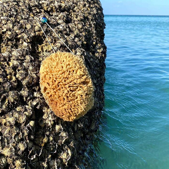 tom&pat Natural Sponge with Cord & Glass Charm - Dermatest: Very Good, Unbleached Bath Sponge Shower Sponge Body, Exfoliating Sponge from Greece, Premium Quality (17-18 cm)