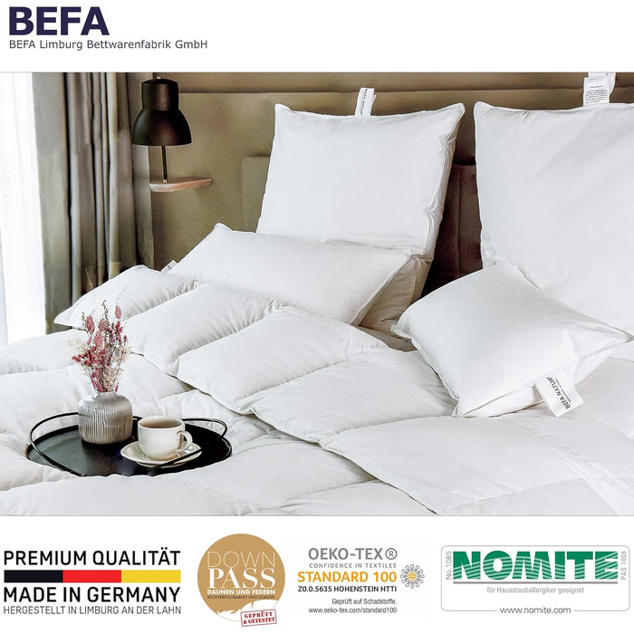 Подушка BEFA NATUR 40x80 см, 3-камерна, 90% пух, 10% перо, антиалергенна, сертифікат OEKO-TEX 100, Downpass, вироблено в Німеччині