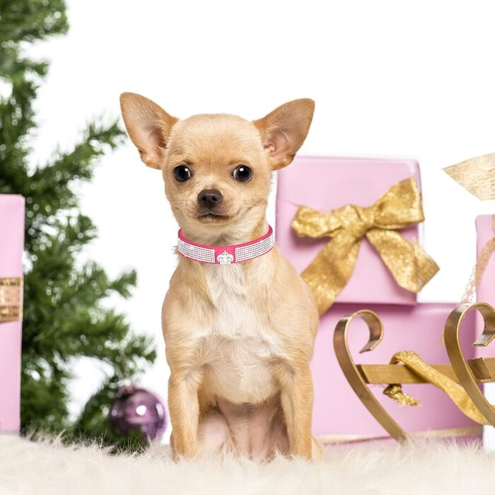 Нашийник для собак Roa з м'якої шкіри та поводок-стрічка: блискучий набір з діамантами для маленьких та середніх собак та котів (XS, Рожевий)