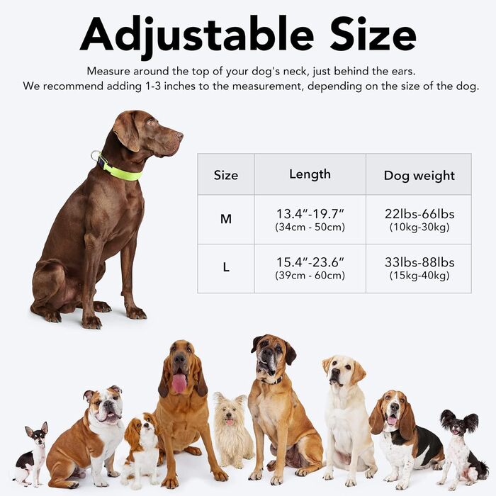 LED-нашийник для собак, перезаряджається через USB, водонепроникний, яскравий, регульований, для середніх та великих собак (зелений, M)