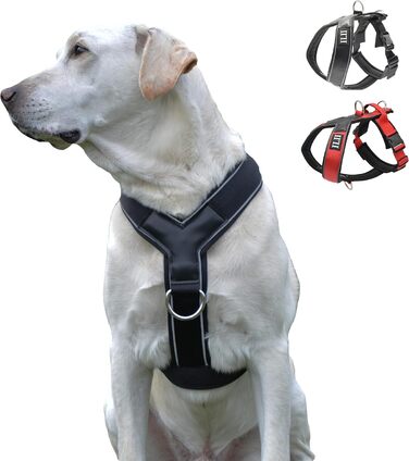 Нашийник для собак ILII Y - міцний, елегантний та комфортний. Унікальний дизайн для середніх та великих собак. Чорний, мінімальне покриття