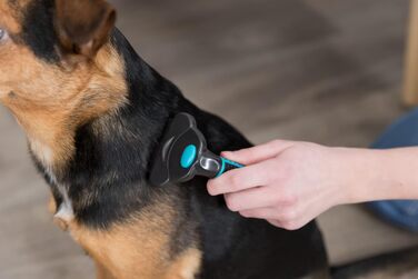 Тріксі Щітка-гребінець для вичісування та розрідження шерсті коротко- та жорсткошерстих порід - змінна головка, лезо з нержавіючої сталі, гумовий пластиковий грифель, чорний/синій, 7 x 15 см, для собак та котів