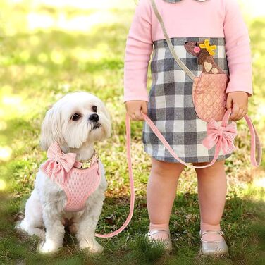 Didog Sweet Collar Harness and Leash Set for Small Dogs, Adjustable Collars and Leashes with Bow Tie, Breathable Soft Mesh Padding for Small Dogs When Walking, Pink, S