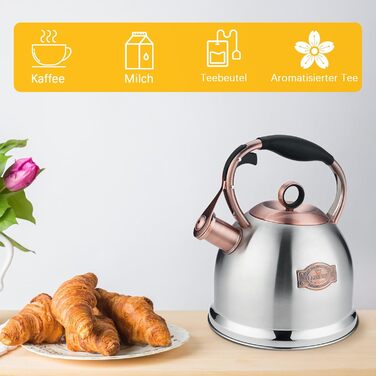 Чайник-свисток 3л з нержавіючої сталі, індукційний, з термостійкою ручкою (срібний)