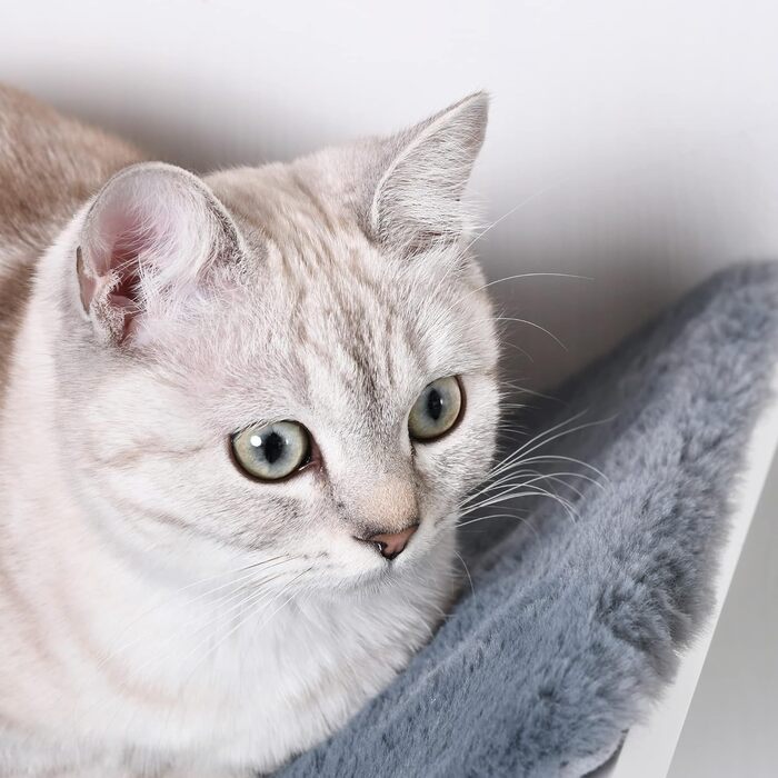 PawHut Cat Bed, Wall-Mounted Cat Bed, Cat Shelf, Wall Mount, Plush Cushion, MDF (white / gray)