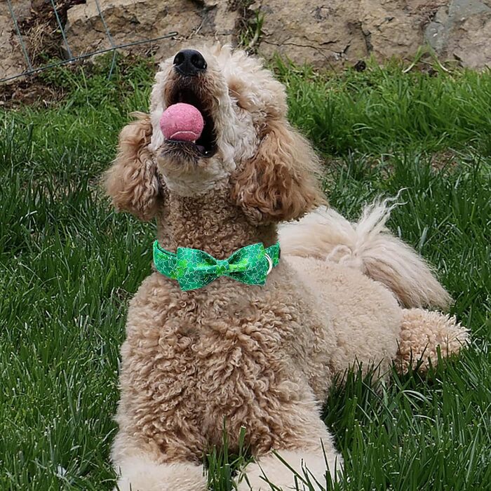 Нашийник для собак Unique Style на День Святого Патріка з бантиком, зелений клевер, для цуценят, маленьких, середніх та великих собак, хлопчиків та дівчаток, білий трилисник