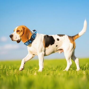 Нашийник для собак TSPRO Premium з ручкою, тактичний, міцний, швидкозакривається, металева застібка, для середніх та великих собак (L), розмір L (регулюється 44.5-62.2 см), камуфляжний синій