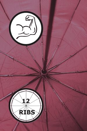 Чоловічий парасолька COLLAR AND CUFFS London 80KPH з автоматичним відкриванням, 12 спиць, блакитний (бордовий), з вентиляційним покриттям, вітростійка, з підсиленим скловолокном