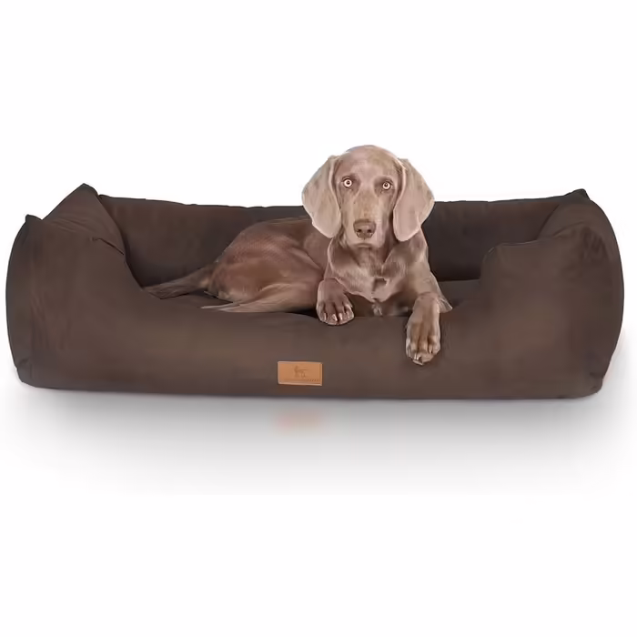 Knuffelwuff Dog Bed Dreamline in Velour XXL 120 x 85cm - Removable Cover - Easy to Clean - for Large, Medium and Small Dogs (Brown, L 155 x W 105 x H 30 cm)