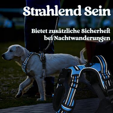 Нашийник для собак Rabbitgoo, великі породи, регульований, проти тяги, з ручкою, м'який, світловідбиваючий, блакитний, L (XL, 1 шт.)