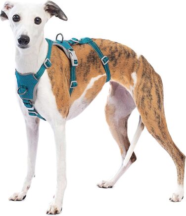 Шлейка Huntboo для собак: безпечна від виривання, антистресова, з відбиваючими елементами, регульована, легка (розмір S, блакитна)