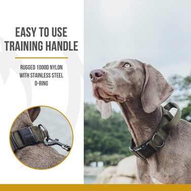 Нашийник для собак OneTigris Ranger з металевою застібкою, зелений, розмір M