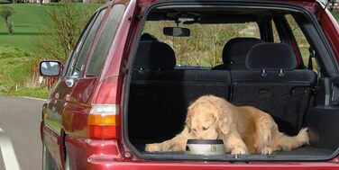 Поїлка для собак Road Refresher, велика, рожева (1 шт.)