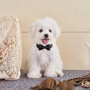 Ошатний оксамитовий нашийник для собак Aring Pet з бантиком, чорний, зручний, регульований, з металевою застібкою, для маленьких, середніх та великих собак