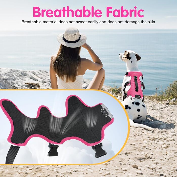 Світловідбиваючий нашийник для собак Jewyow з LED, перезаряджуваний, м'який, регульований, водонепроникний, для середніх та великих собак, зелений (рожевий, M)