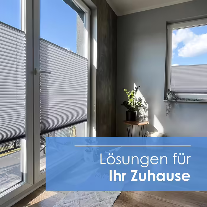 Custom Rollmayer Pleated Blinds, Drill-Mount Pleated Blinds, 14 Colors, 3 Profile Colors, Height 150-240 cm, Width: 25cm-120cm, Pleated Roller Shade Folding Blind Privacy and Sun Protection for Windows and Doors
