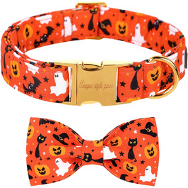 колір: вечірка на хелловін