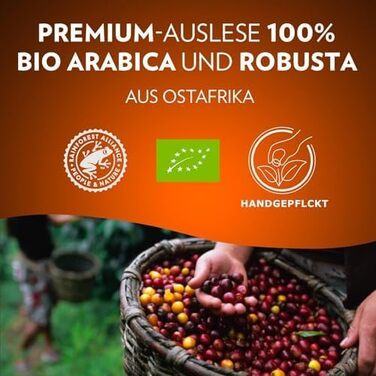 Кава в зернах Lavazza Tierra Africa, 100% біо-арабіка, легкого обсмаження для еспресо-машин, м'який фруктовий смак, 1 кг