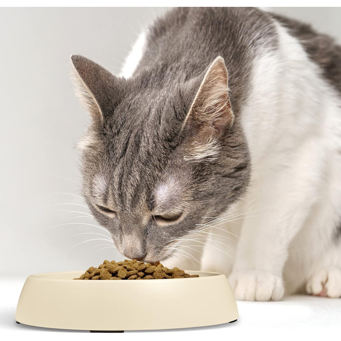 Набір мисок для котів CatGuru 2 шт. (пісок): широкий, протиковзкий, для зменшення стресу та втоми
