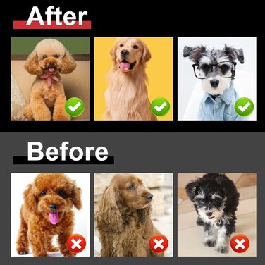 Професійна машинка для стрижки собак Hatteker: електрична, бездротова, з підсвічуванням, 7500RPM, для собак та котів