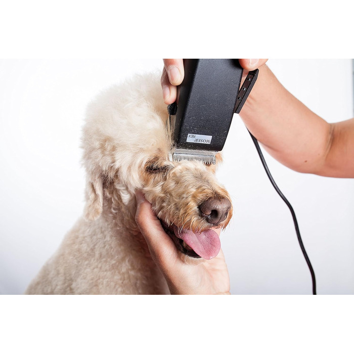 Професійна машинка для стрижки тварин Moser Rex 1230 для собак середніх порід (стара версія)