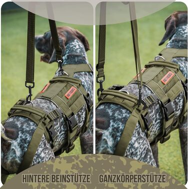 Шлейка для собак OneTigris SKYEWALKER, підтримуюча шлейка з 2 ручками, регульована, для реабілітації та підтримки, XL (M:14-27кг(ОБ:40-58см, Грудка:60-81см), Зелена)