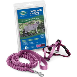 PetSafe Come with Me Kitty Harness and Bungee Leash, Harness for Cats, Size M, Red/Cranberry, Model: CWMK-M-RED (Light Pink/Burgundy, Large (Pack of 1))