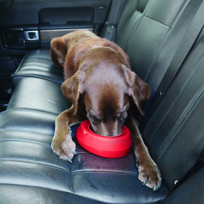 Kurgo Splash Free Wander: Миска для води для собак, 0.7 л, червона, витокозахисна, портативна