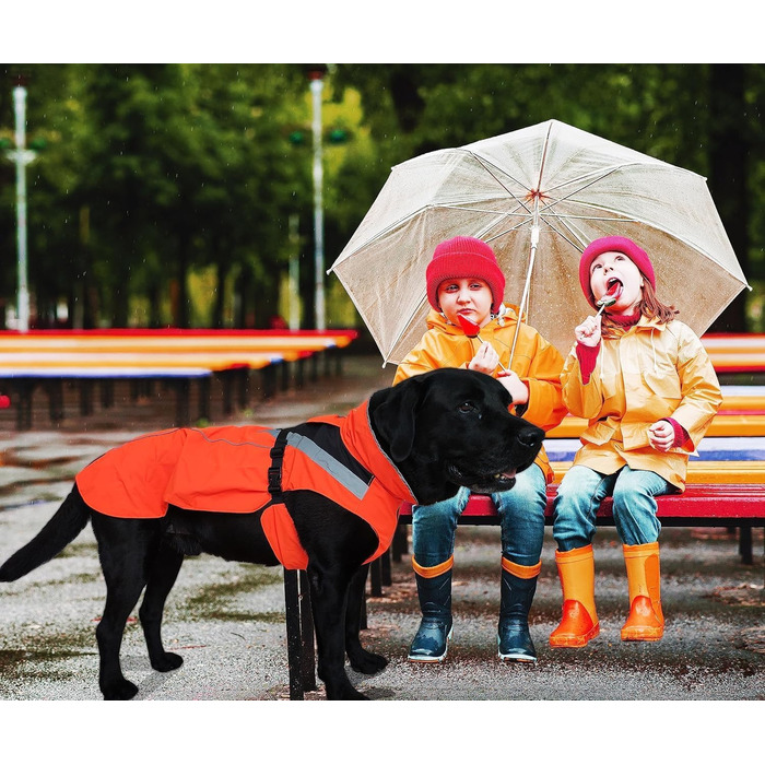 Lautus Pets Dog Raincoat, Waterproof, Reflective, Light with Harness Hole (Orange, 2XL)