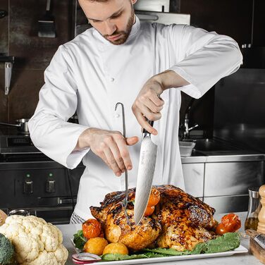 MOSFiATA Кухонний ніж 10 дюймів (25 см) - професійний ніж для м'яса з високоякісної сталі EN1.4116, ідеальний для шеф-кухарів, ніж для кухні, ніж кухаря, з подарунковою упаковкою