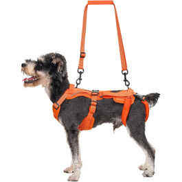 колір: помаранчевий