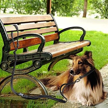 Поводок для собак YankMooM 6-в-1: багатофункціональний, регульований, з надійним амортизатором. Підходить для бігу, прогулянок, тренувань, поїздок в авто з собаками середніх та великих порід. Включає автомобільний ремінь безпеки (1,5 - 2,4 м)