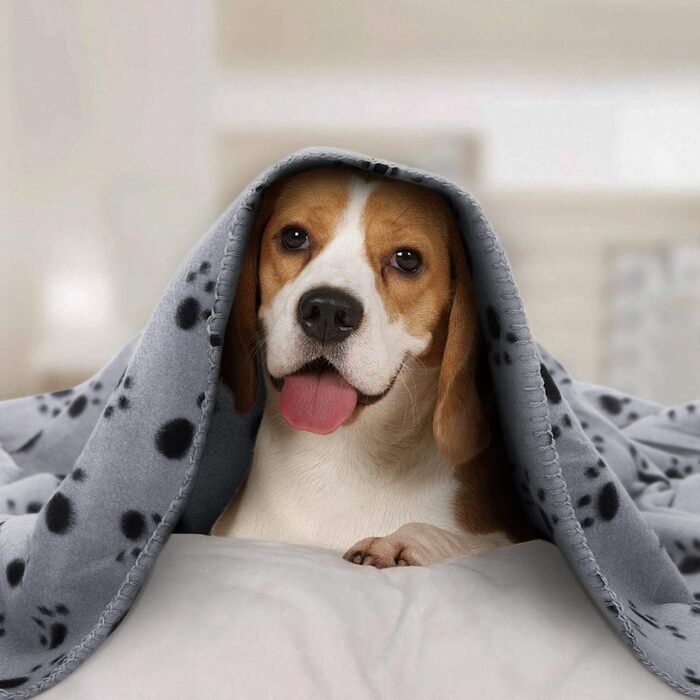 М'яка флісова підстилка для собак та котів Nobleza, 120 x 100 см, сіра