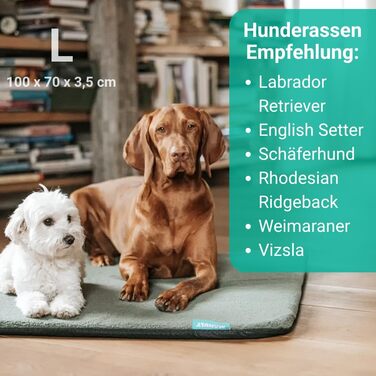 Килимок для собак у подорож: самонадувний килимок, м'який водовідштовхувальний чохол, сумка для перенесення, можна прати в пральній машині, знімний чохол, 100x70x3,5 см, 1080 г, сірий/блакитний