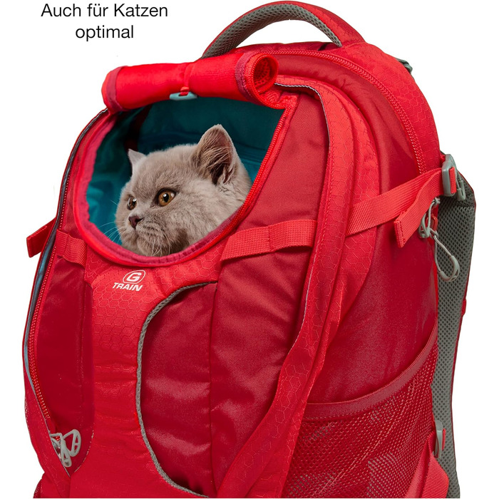 Рюкзак для собак Kurgo G-Train, червоний, 33x53x25 см, з відділенням для тварин