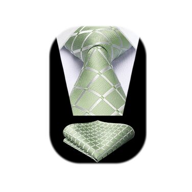 HISDERN Комплект краватки та кишенькового хустинки в клітинку для чоловіків (світло-зелений)