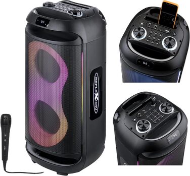 Reflexion PS09BT Bluetooth Портативна Акустика для Вечірок, DJ, Караоке, 500 Вт, FM Радіо, LED Ефект, Мікрофон, Вбудований Акумулятор, Чорний