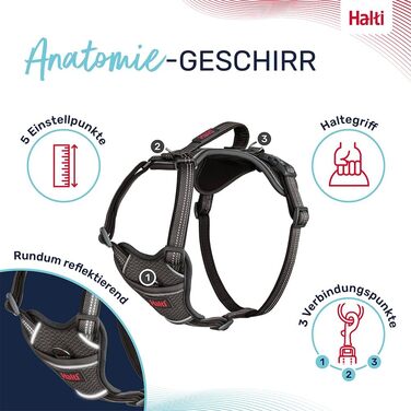 HATI Anatomy Dog Harness with Handle – Freedom of Movement for Your Dog. 3 Connection Points, Neoprene Padding, Adjustable and Reflective (Size Construction Green) (Gray, XL)