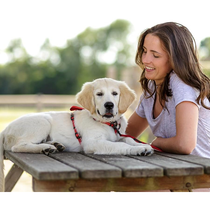 Шлейка для собак HALTI Walking з м'якою неопреновою підкладкою, 5 регульованих ременів та світловідбиваючим матеріалом. Підходить для собак середніх розмірів (L), червона