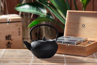 Bredemeijer Blue Flat Asia Teapot 1.1 Liter Cast Iron - Asia Cast Pot with Stainless Steel Tea Filter (200x160x115, Black)