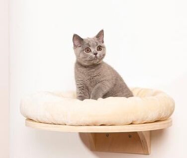 Крісло-лежанка для котів Dahlia - Кругле ліжко з м'яким бортиком та кріпленням на липучці | Крізь-стіна для котів | Діаметр 48 см (Крем)